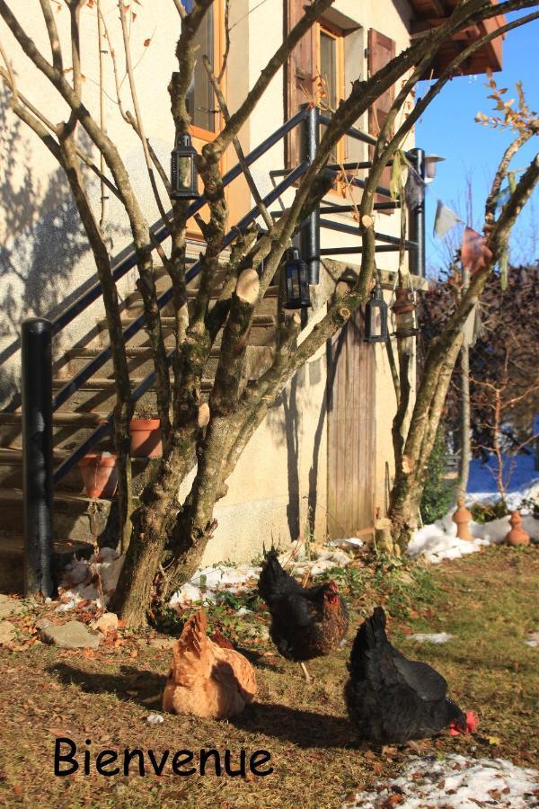 Belladone Guest House Theys Les 7 Laux Kültér fotó